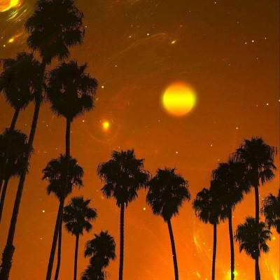 乐发vll彩票截图