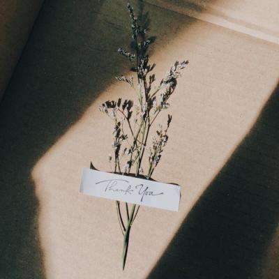 环球体育官网下载