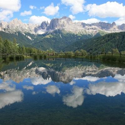 半岛官网入口网页版