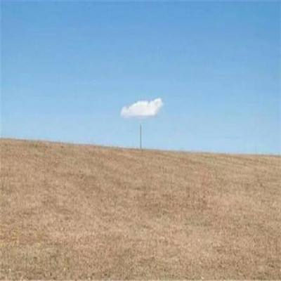 博鱼网页版官网登录